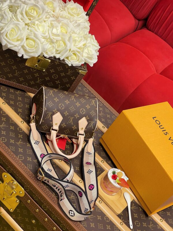 LV Speedy Bandoulière 20 - Image 4