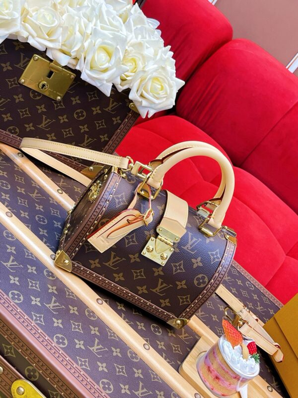 LV Speedy Trunk 20 Monogram - Image 2