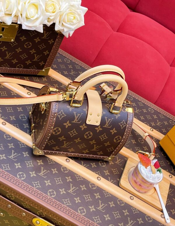 LV Speedy Trunk 20 Monogram - Image 5