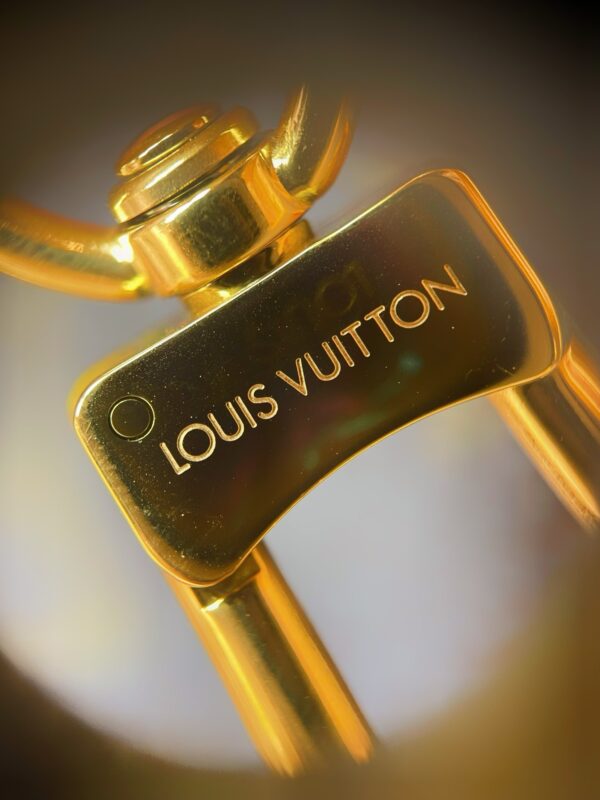 LV Speedy Trunk 20 Monogram - Image 18