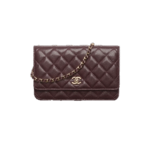 Chanel Classic Wallet on Chain