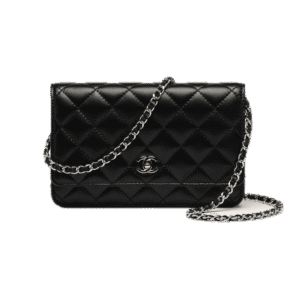 Chanel Classic Wallet on Chain